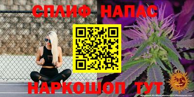 стаф Протвино