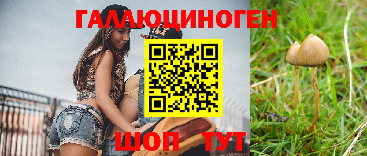 Коркино  Галлюциногенные грибы мухоморы  Вход с VPN 